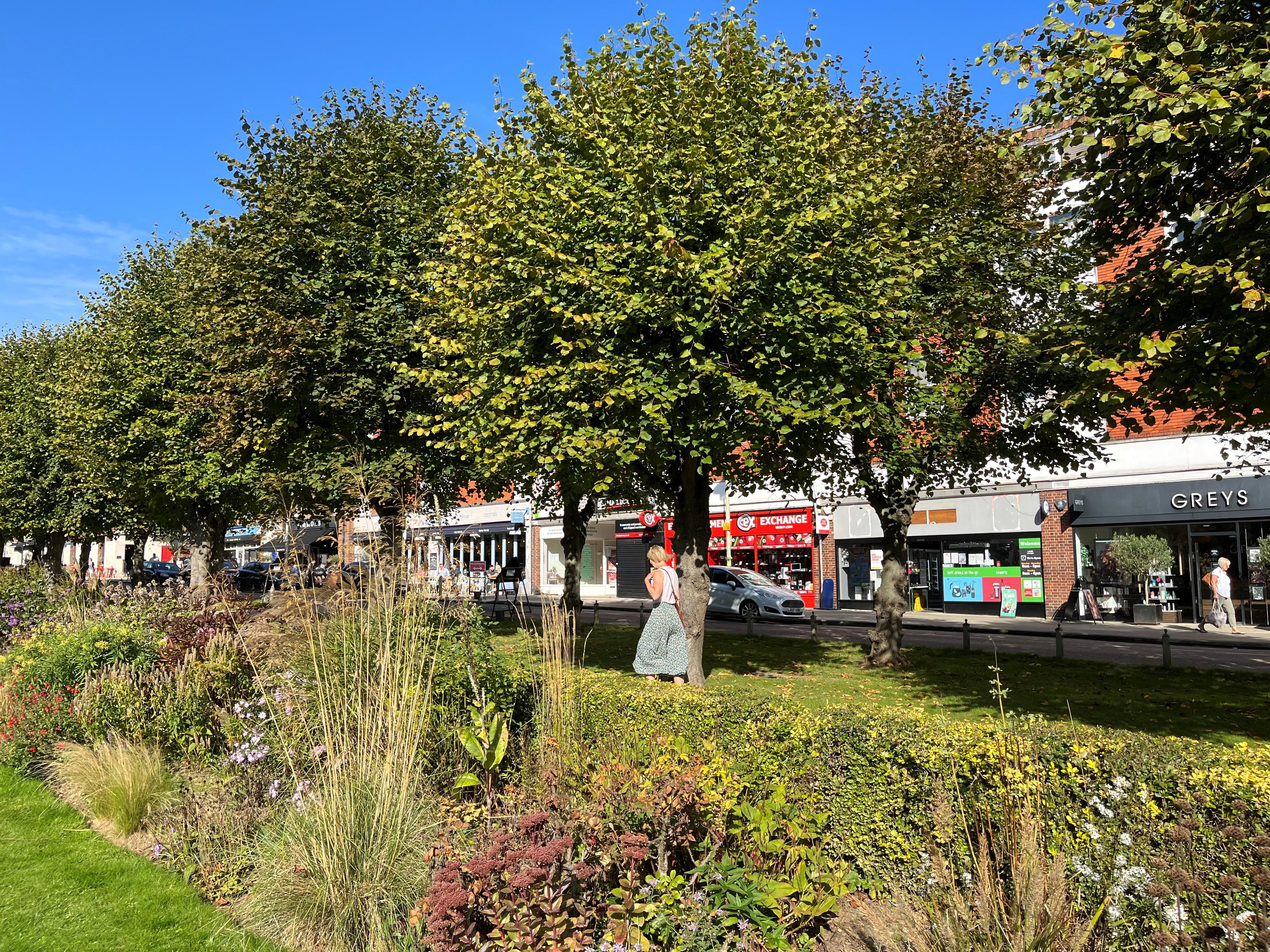 Green space, trees and shops.