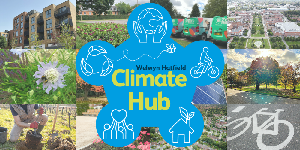 Climate Hub