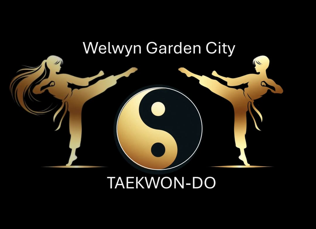 Taekwondo