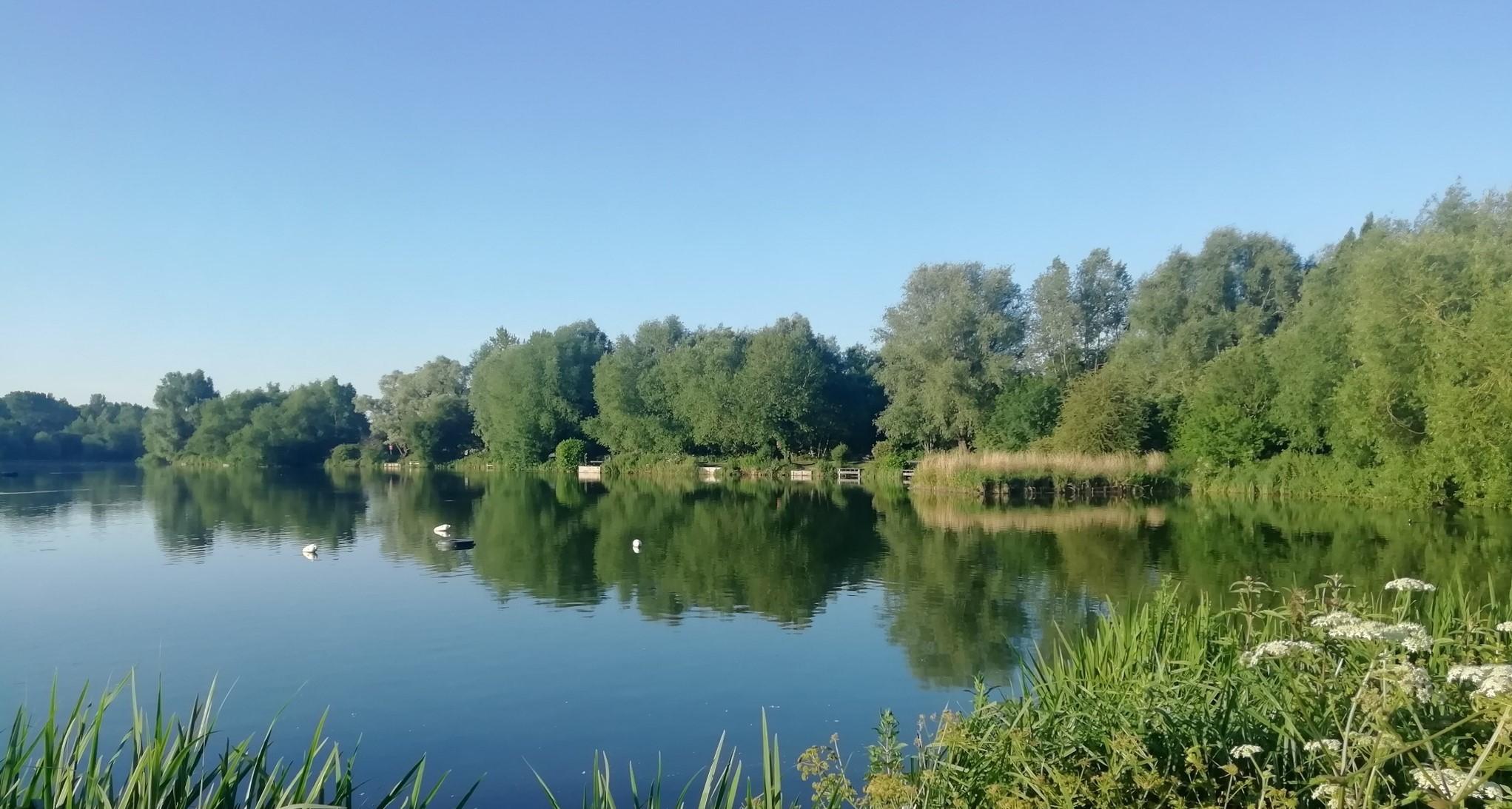 Stanborough lakes