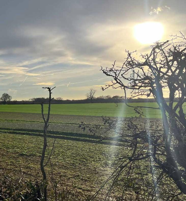 Birchall Garden Suburb site