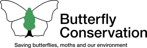 Butterfly conservation logo