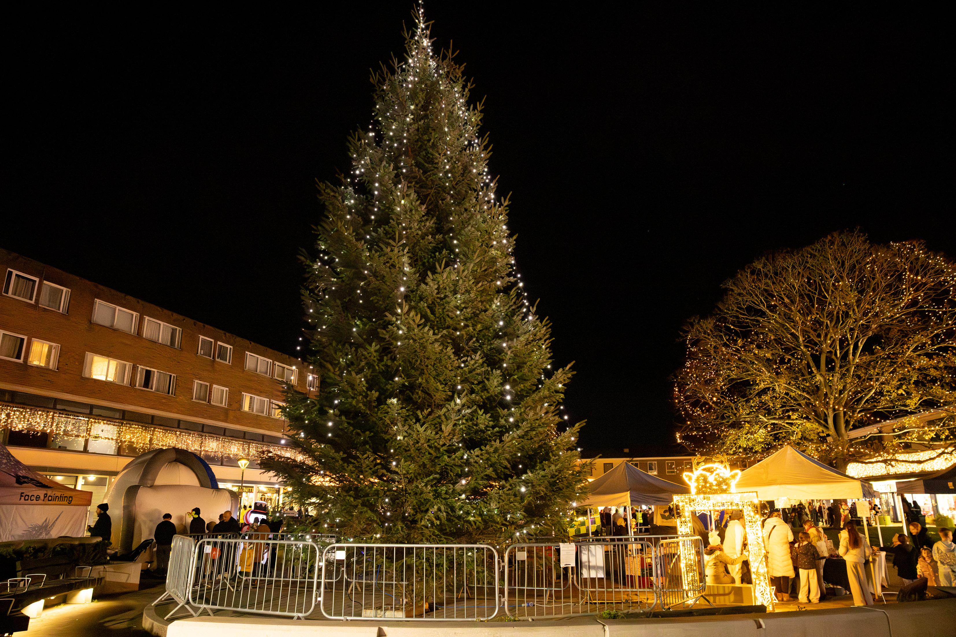 Hatfield Christmas lights