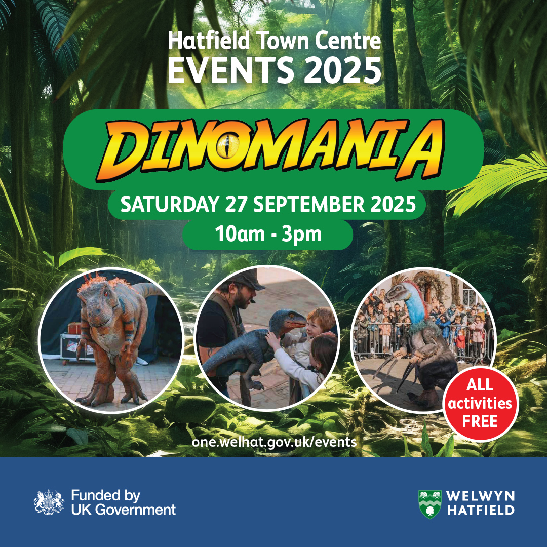 Poster for Dino event