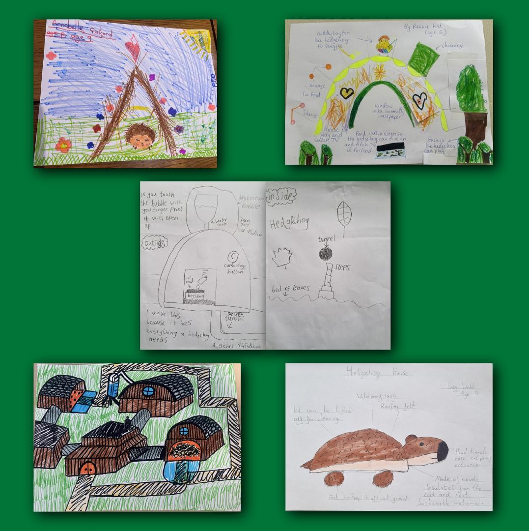 Hedgehog competition winners