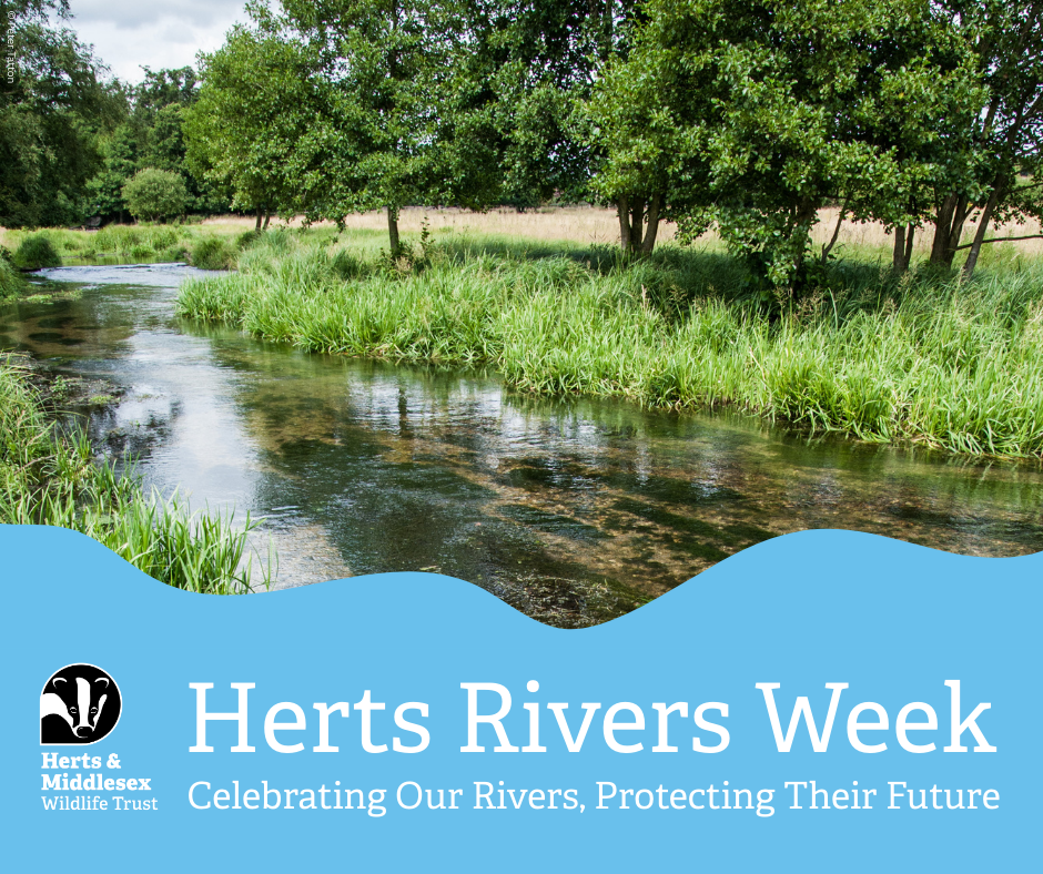 Herts rivers week facebook post