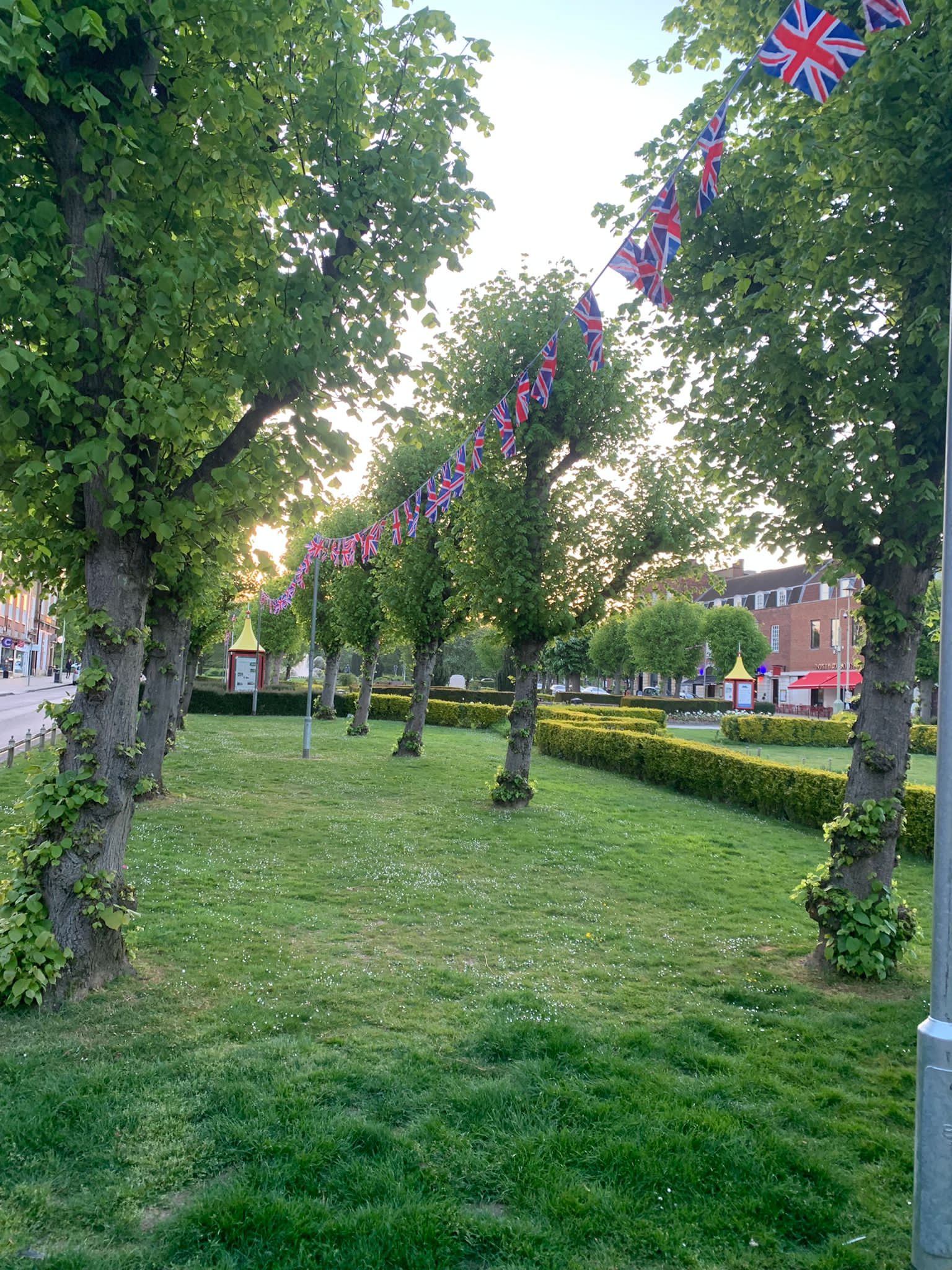 Trees in Welwyn Garden City town centre with British flag bunting hung between them