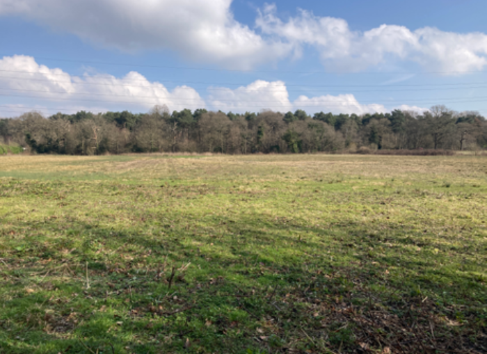 Marshmoor site photo