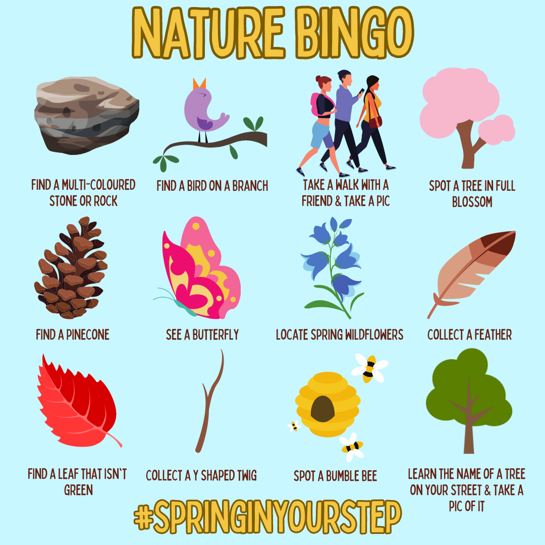 Nature Bingo Card