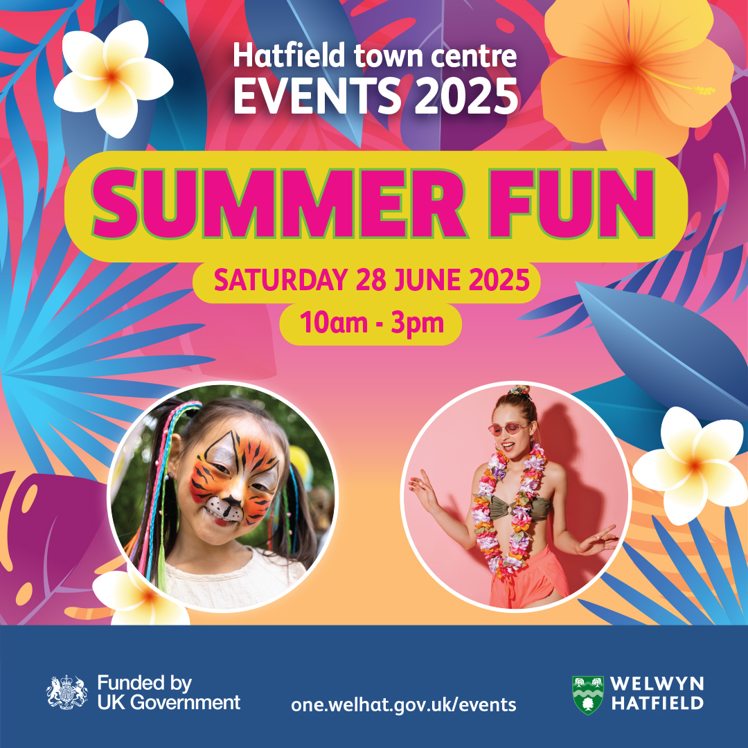 Summer Fun poster