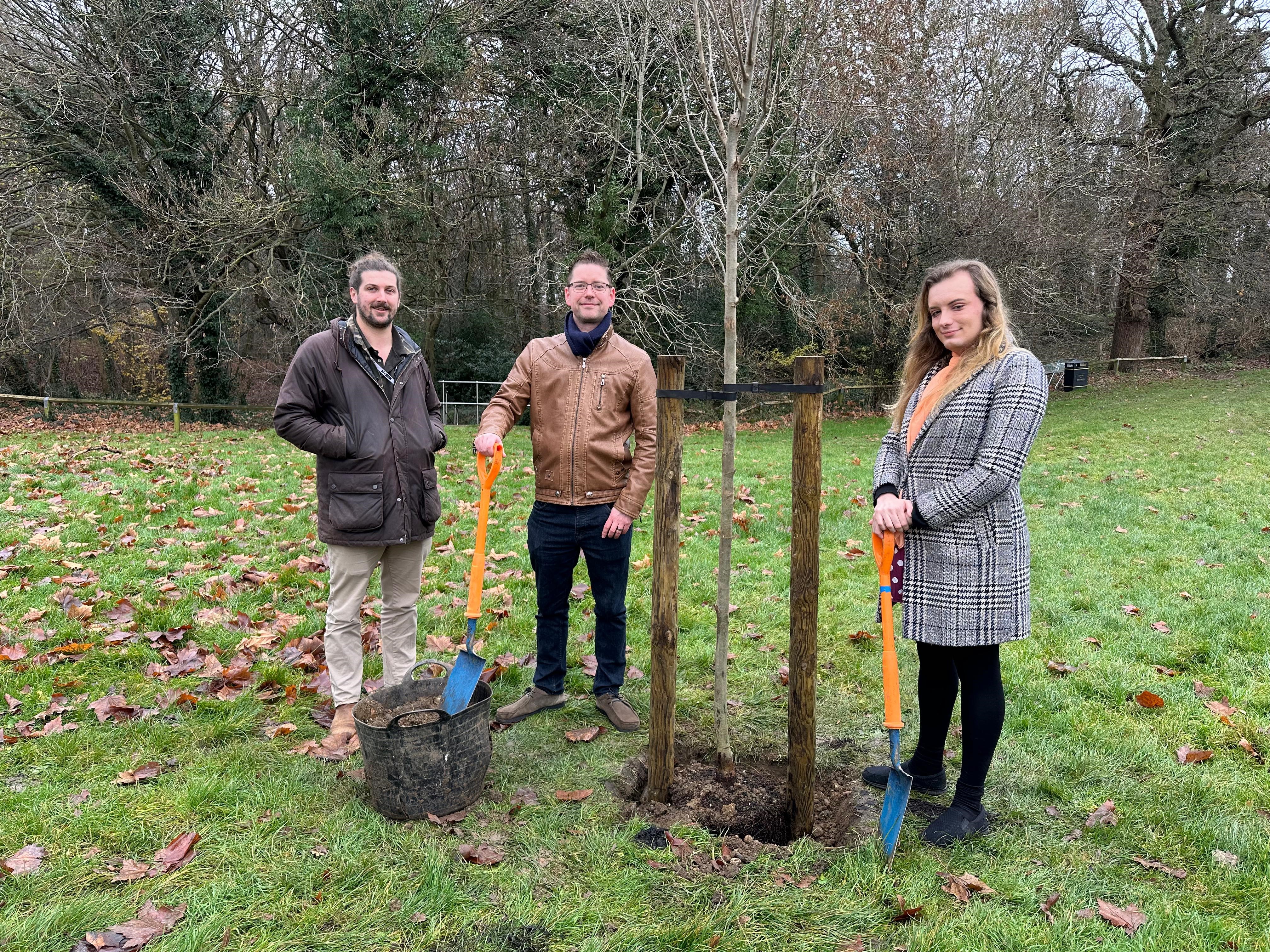 Welwyn Hatfield Borough Council takes a step towards a greener future with the planting of 20 Lobel Elm trees.