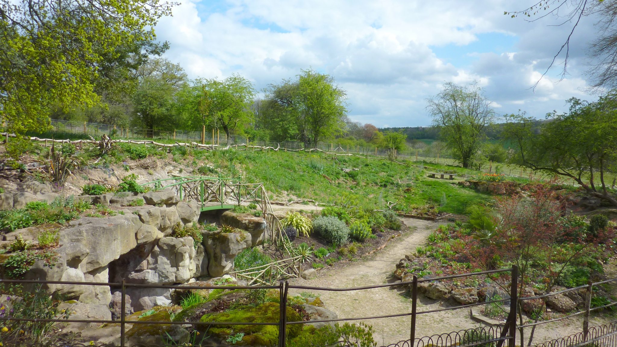 Fernery