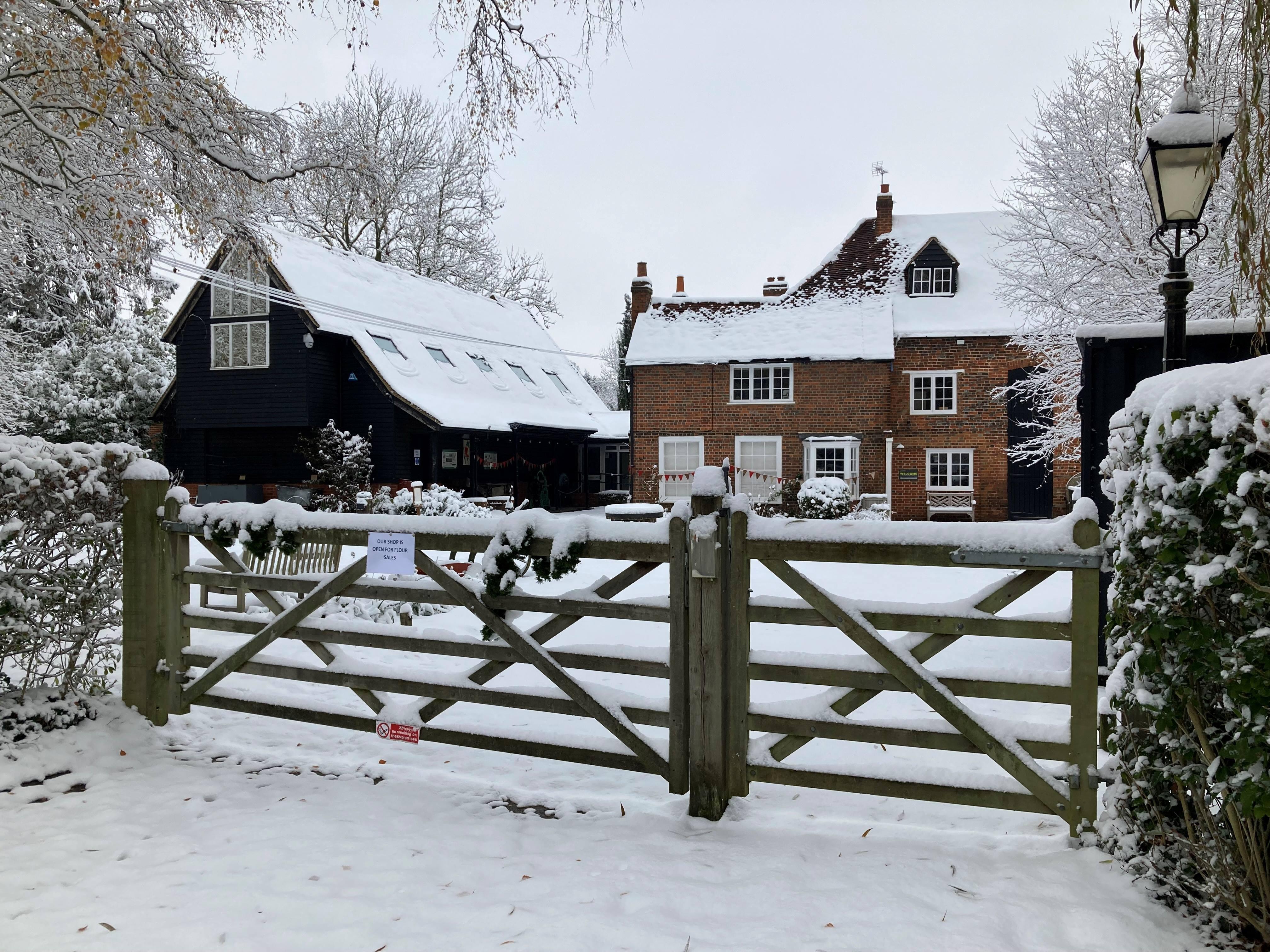 Snowy Mill Green